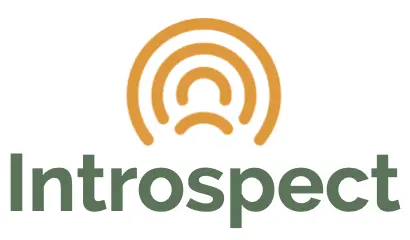 Introspect